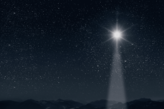 Jesus Was Born For a Purpose